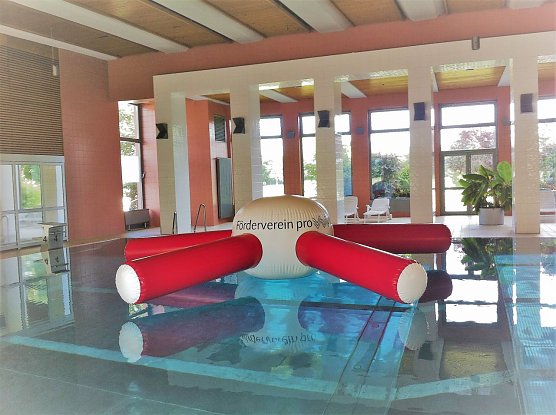 Seestern in der Wipperwelle (Foto: Dr. Dorst)