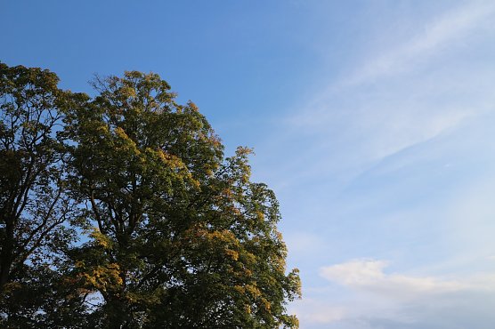 Wetterbild (Foto: Angelo Glashagel)