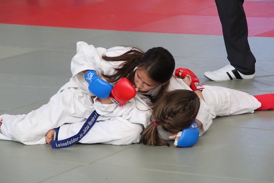 Shabnam Ataii (blau,l.) mit einer Festhaltetechnik (Foto: Ju-Jutsu) Shabnam Ataii (blau,l.) mit einer Festhaltetechnik (Foto: Ju-Jutsu)