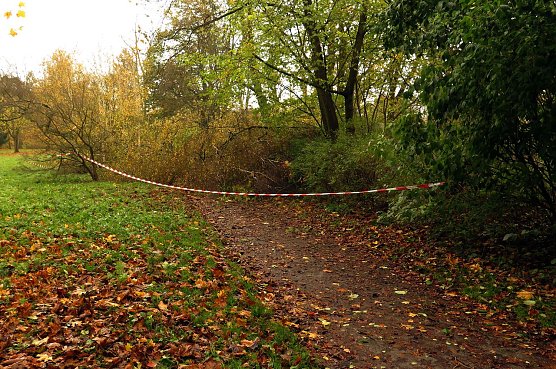Sturmsch&auml;den in Nordhausen (Foto: nnz)