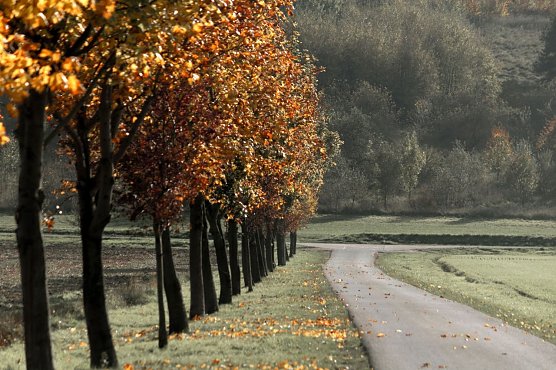 Herbstwetter (Foto: Gernot Thelemann)