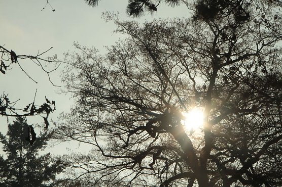 Wetterbild (Foto: Angelo Glashagel)