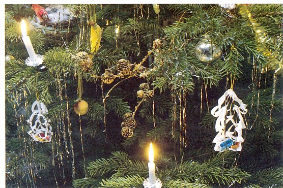 Storms Weihnachten (Foto: Dr. Regina Fasold)