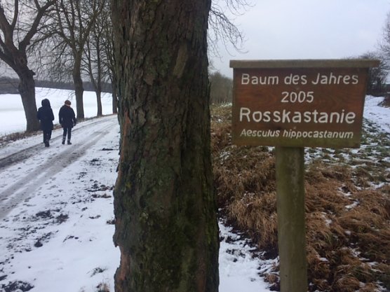 Neujahrswanderung (Foto: Norbert Sondermann) Neujahrswanderung (Foto: Norbert Sondermann)