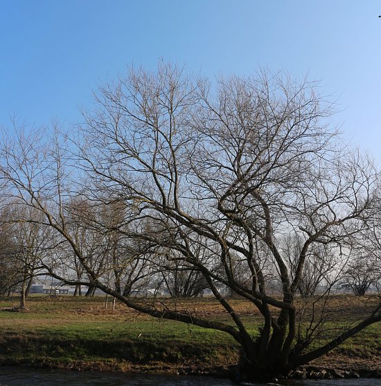 Wetterbild (Foto: Angelo Glashagel) Wetterbild (Foto: Angelo Glashagel)