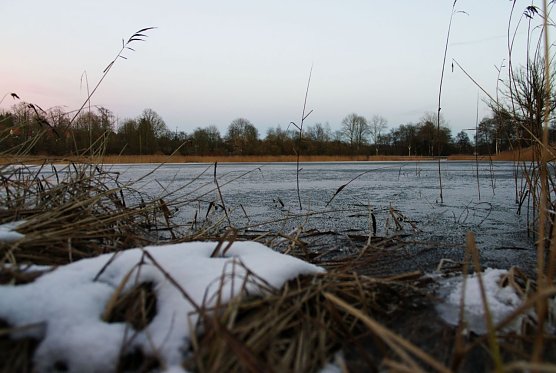 Wird es nochmal Winter? (Foto: Gernot Thelemann)