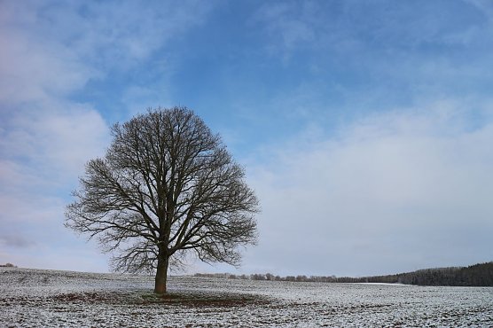 Wetterbild (Foto: Angelo Glashagel)