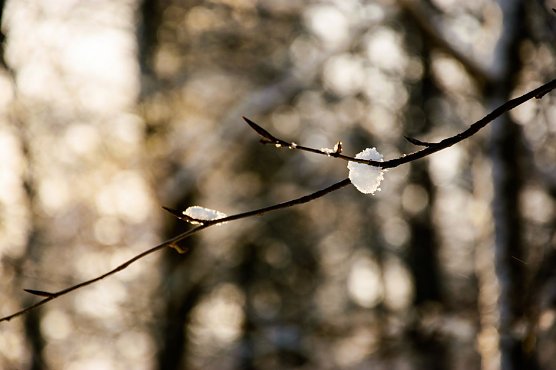 Wetterbild (Foto: Gernot Thelemann)