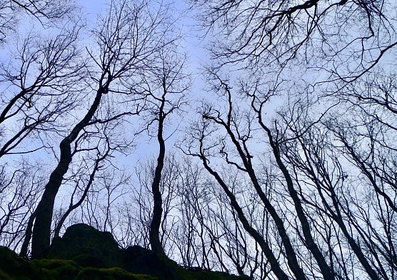 Wetterbild (Foto: Angelo Glashagel) Wetterbild (Foto: Angelo Glashagel)