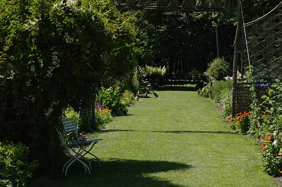 Rasen (Foto: Teresa B&uuml;schleb)