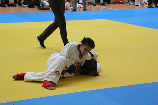 Gegnerin im Griff (Foto: Ju-Jutsu Verein)