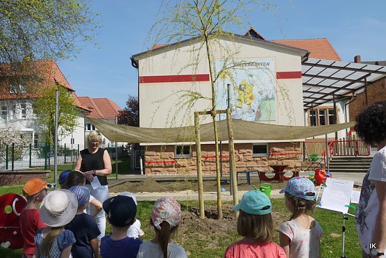 Baumspende f&uuml;r den Kindergarten (Foto: Ilka K&uuml;hn)