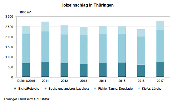 Holzeinschlag in Th&uuml;ringen (Foto: Th&uuml;ringer Landesamt f&uuml;r Statistik)