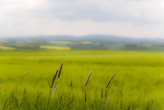 Wetterbild (Foto: Gernot Thelemann)