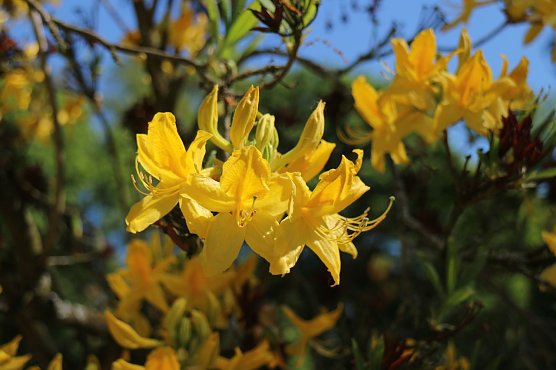 Wetterbild (Foto: Angelo Glashagel)