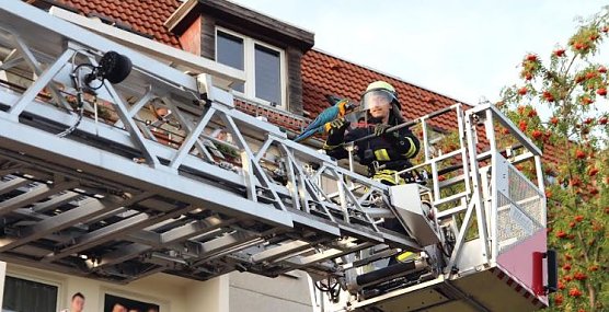 Papagei befreit (Foto: Feuerwehr Heiligenstadt)