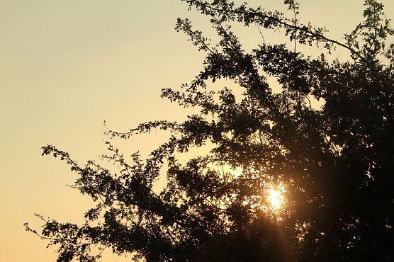 Wetterbild (Foto: Angelo Glashagel)