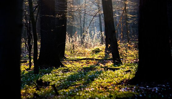 Wetterbild (Foto: Gernot Thelemann)