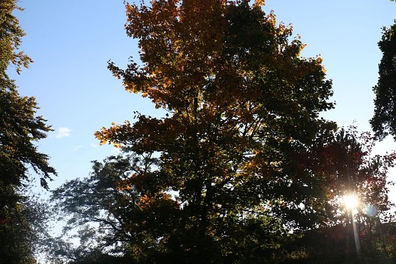 Wetterbild (Foto: Angelo Glashagel)