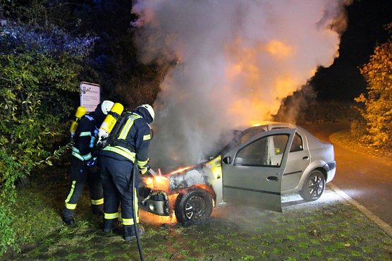 Auto ausgebrannt (Foto: Landespolizeiinspektion Nordhausen) Auto ausgebrannt (Foto: Landespolizeiinspektion Nordhausen)