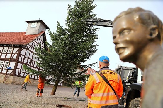 Weihnachtsbaum aufgestellt (Foto: Ren&eacute; Wei&szlig;bach)