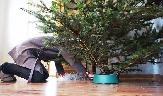 Weihnachtsbaum (Foto: Daniela Tr&ouml;ger)