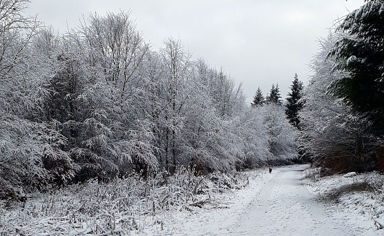 Sophienhof, im Landkreis Nordhausen (Foto: W. J&ouml;rgens)
