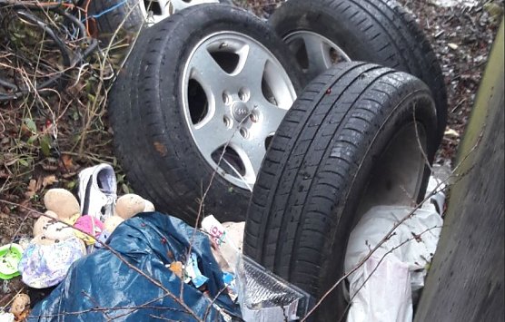 Entsorgt (Foto: Ordnungsamt)