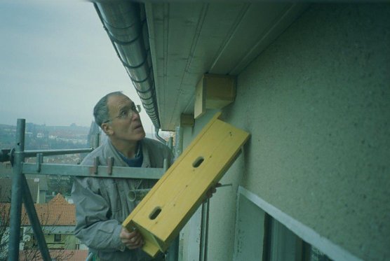 Der Autor beim Anbringen einer Bruthilfe f&uuml;r Mauersegler. (Foto: privat)