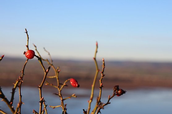 Wetterbild (Foto: Angelo Glashagel)