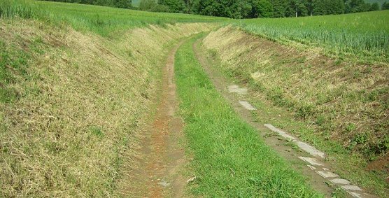 Ein Bild, wie es nicht sein sollte: Ausger&auml;umter Feldrain. (Foto: Wilhelm Roth)