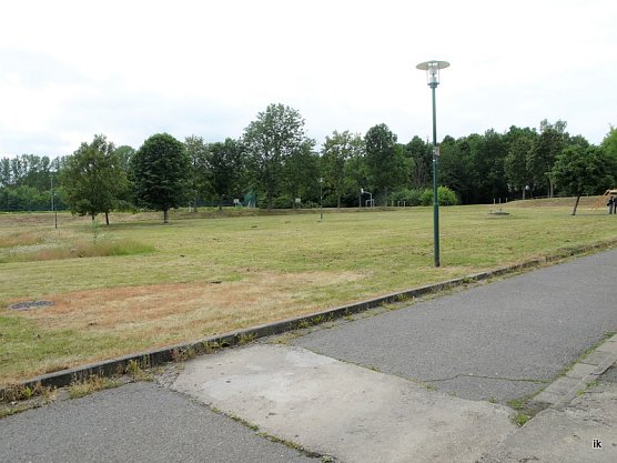 Wiese (Foto: Ilka K&uuml;hn)