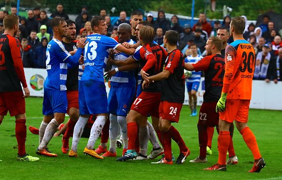 Rudelbildung (Foto: Bernd Peter)