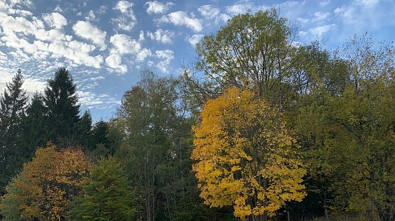 Wetter (Foto: oas) Wetter (Foto: oas)