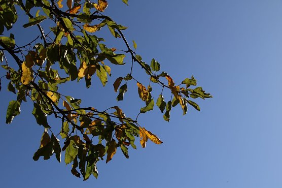 Wetterbild (Foto: Angelo Glashagel) Wetterbild (Foto: Angelo Glashagel)