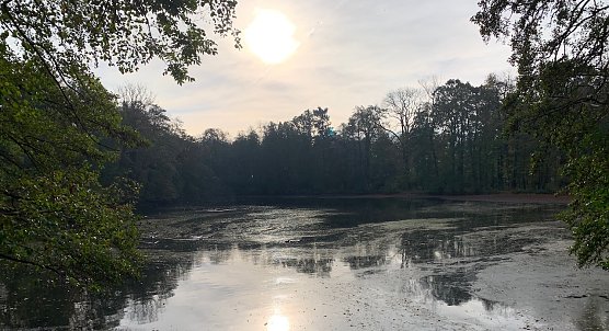 wetter (Foto: oas) wetter (Foto: oas)