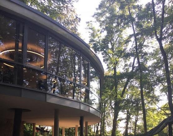 Informationszentrum mit Bistro (Foto: B&auml;renpark )