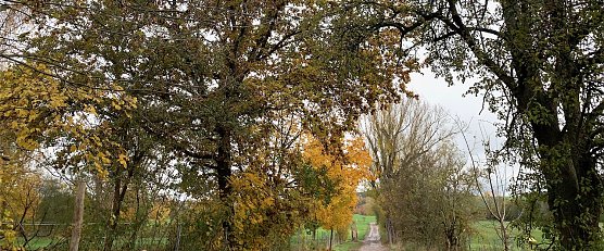 wetter (Foto: oas) wetter (Foto: oas)