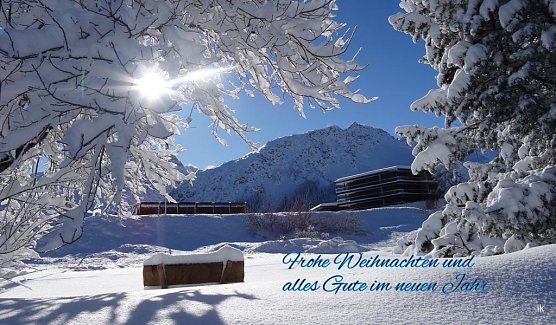 Weihnachtsgr&uuml;&szlig;e (Foto: Ilka K&uuml;hn)