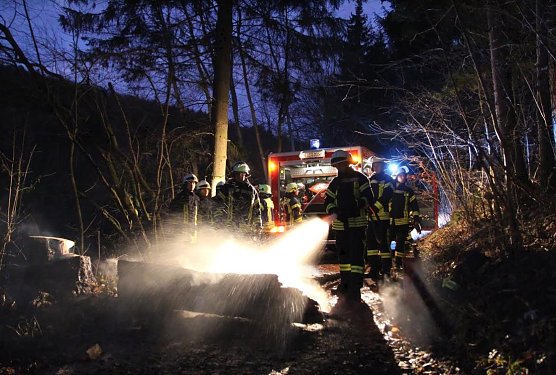 Brennender Baumstamm (Foto: Feuerwehr Heiligenstadt) Brennender Baumstamm (Foto: Feuerwehr Heiligenstadt)
