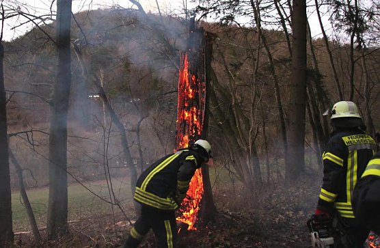 Brennender Baumstamm (Foto: Feuerwehr Heiligenstadt) Brennender Baumstamm (Foto: Feuerwehr Heiligenstadt)