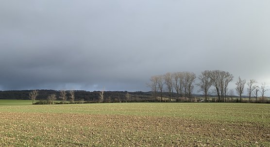 wetter (Foto: oas) wetter (Foto: oas)