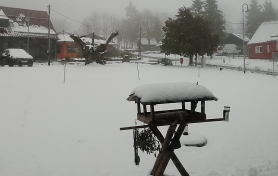 Morgenstund in Sophienhof (Foto: W. Jörgens) Morgenstund in Sophienhof (Foto: W. Jörgens)