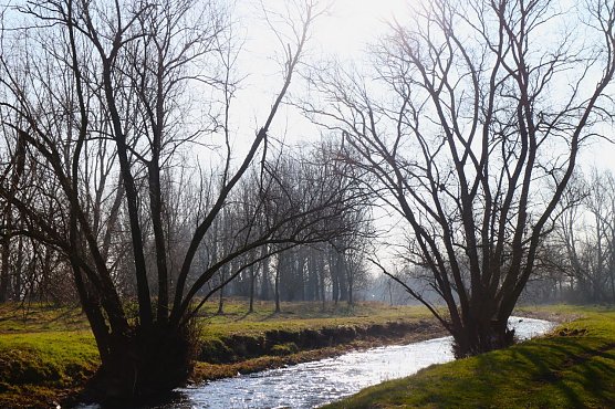 Wetterbild (Foto: Angelo Glashagel)