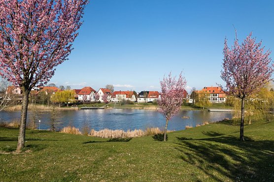 M&auml;rtens Teich (Foto: Stefan Rieger)