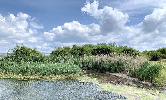 Stausee bei Kelbra (Foto: oas)