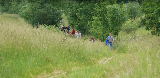 Der ehemalige Kolonnenweg (Foto: Heinz Sielmann Stiftung) Der ehemalige Kolonnenweg (Foto: Heinz Sielmann Stiftung)
