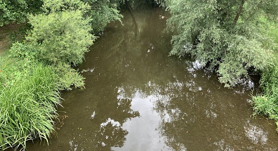 Zorge bei Bielen (Foto: oas)