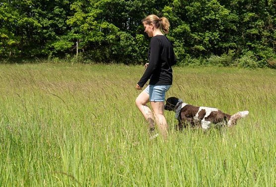 An Waldr&auml;ndern, im hohen Gras, in Geb&uuml;schen und im lichten Unterholz f&uuml;hlen sich Zecken besonders wohl. Alle, die drau&szlig;en unterwegs sind, m&uuml;ssen mit Zeckenbissen rechnen. (Foto: HUK Coburg)