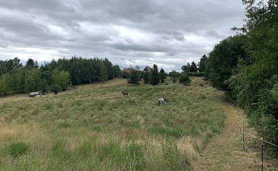 Nordhausen Nord (Foto: oas)